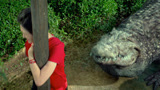《百万巨鳄》：美女茶园遇鳄鱼挡道，吓得直往电线杆上搓！