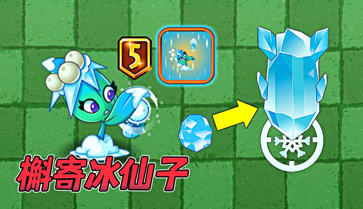 pvz2:颜值代表槲寄冰仙子