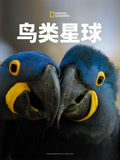鸟类星球