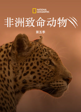 非洲致命动物第四季