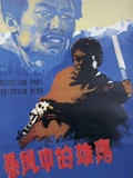 暴风中的雄鹰}