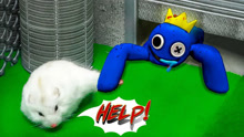 彩虹朋友：小白鼠奇遇记！可爱的小白鼠通关玩具工厂！