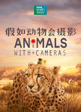 假如动物会摄影