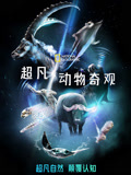 超凡动物奇观