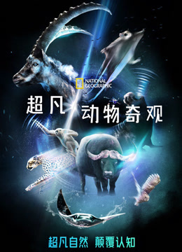超凡动物奇观