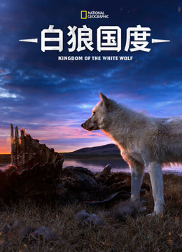 白狼国度第一季
