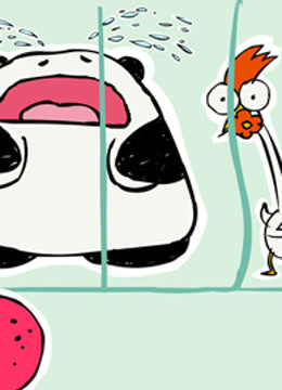 BOBOTOTO