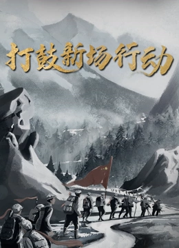打鼓新场行动}