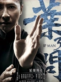 叶问3}