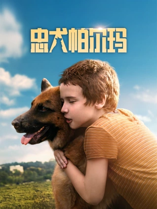 忠犬帕尔玛}