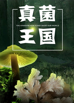 真菌王国}
