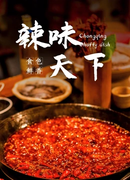 辣味天下封面图