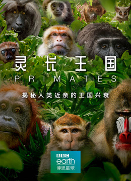 灵长王国