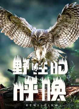 野性的呼唤