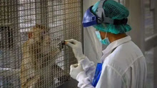 中疾控：10月新增报告127例猴痘确诊病例