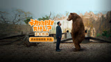 嗨笑喜剧《动物园里有什么？》热映  贾冰掌掴真熊有点“虎”啊！