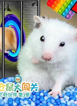 小仓鼠大闯关之好伙伴 第三季}