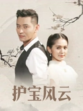 护宝风云}