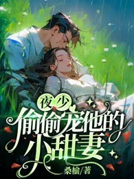 夜少偷偷宠他的小甜妻