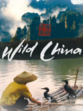 美丽中国