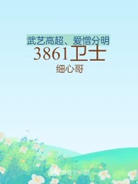 3861卫士