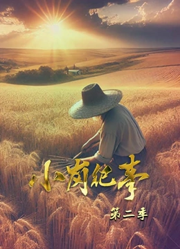小岗纪事 第二季}