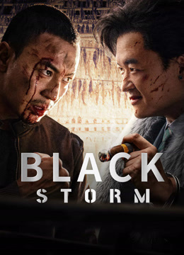  Black Storm (2024) Legendas em português Dublagem em chinês