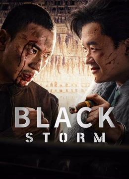 Watch the latest Black Storm (2024) online with English subtitle for free English Subtitle