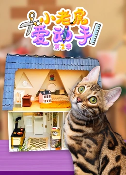 小老虎爱动手第二季