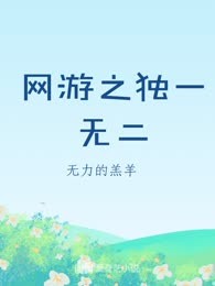 网游之独一无二
