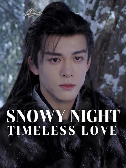 Watch the latest Snowy Night Timeless Love online with English subtitle for free English Subtitle