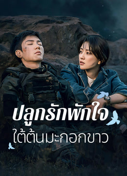 ดู ออนไลน์ ปลูกรักพักใจ ใต้ต้นมะกอกขาว (2025) ซับไทย พากย์ ไทย