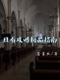 且看攻略极品指南