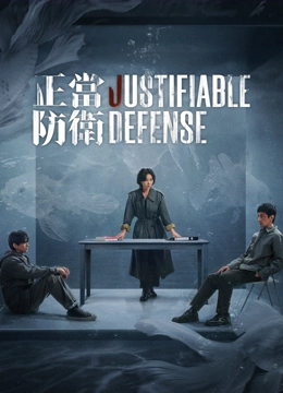 線上看 正當防衛 (2024) 帶字幕 中文配音，國語版