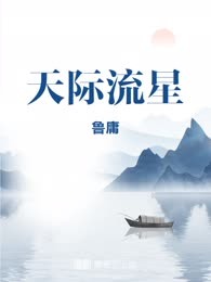 天际流星

