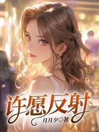 许愿反射