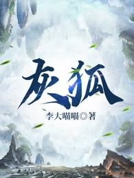 灰狐