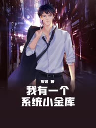 我有一个系统小金库