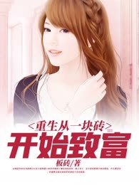 重生从一块砖开始致富