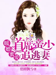 暖婚蜜爱：首席帝少追逃妻