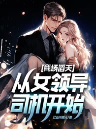 商场滔天：从女领导司机开始！