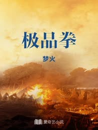 极品拳
