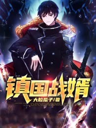镇国战婿