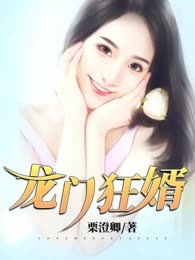 龙门狂婿