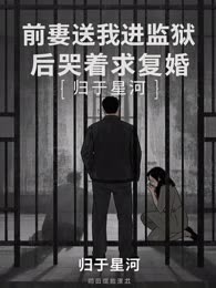 前妻送我进监狱后哭着求复婚