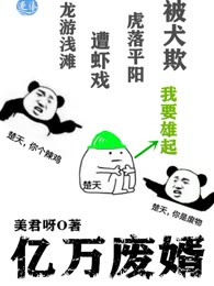 亿万废婿