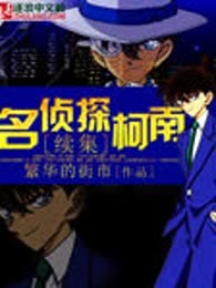 名侦探柯南续集