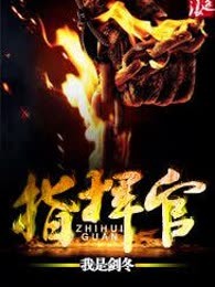 指挥官