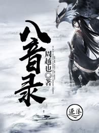 八音录