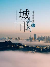 城市奔鸟